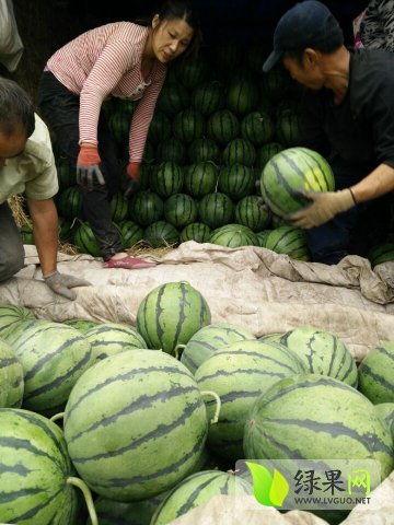 23年吃瓜最新事件网红