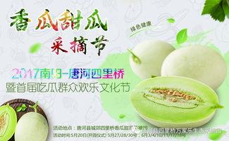 520吃瓜网,揭秘娱乐圈最新热点，带你畅游八卦海洋