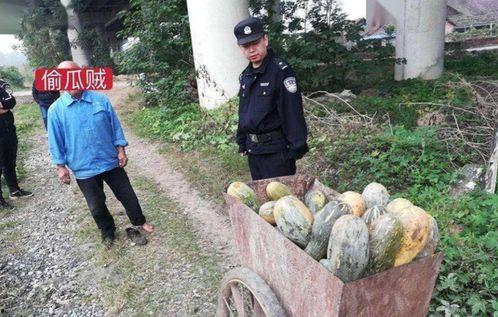 文安县网红吃瓜事件真相,真相与反思