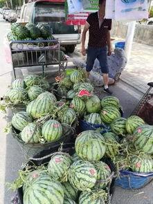 永康网红吃瓜事件,揭秘网络舆论的风暴与真相